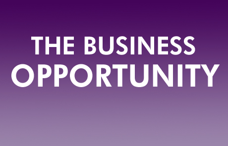 The Business Opportunity